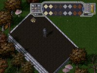 Cкриншот Ultima Online: Age of Shadows, изображение № 347312 - RAWG