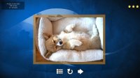 Cкриншот Puppy Dog: Jigsaw Puzzles, изображение № 146158 - RAWG