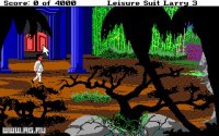 Cкриншот Leisure Suit Larry 3 - Passionate Patti in Pursuit of the Pulsating Pectorals, изображение № 712695 - RAWG