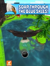 Cкриншот Virtual Pet Eagle, изображение № 1968133 - RAWG