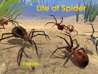 Cкриншот Life Of Spider, изображение № 973855 - RAWG
