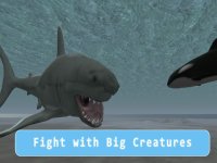 Cкриншот Orca Killer Whale Survival Simulator 3D - Play as orca, big ocean predator!, изображение № 1625926 - RAWG