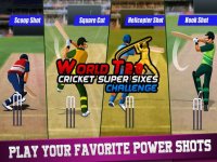 Cкриншот World T20: Cricket Super Sixes Challenge, изображение № 1743209 - RAWG