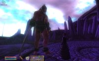 Cкриншот The Elder Scrolls 4: Shivering Isles, изображение № 470378 - RAWG