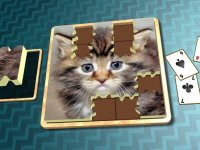 Cкриншот Jigsaw Solitaire Kitties, изображение № 1986716 - RAWG