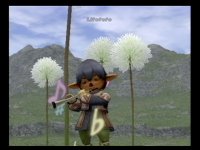 Cкриншот Final Fantasy XI, изображение № 360954 - RAWG
