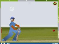 Cкриншот Touch Cricket, изображение № 2454050 - RAWG