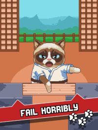 Cкриншот Grumpy Cat's Worst Game Ever, изображение № 1597316 - RAWG