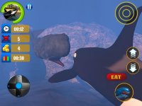 Cкриншот Blue Whale Simulator Game 3D, изображение № 1615103 - RAWG