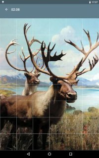 Cкриншот Jigsaw Puzzle: Animals, изображение № 1497951 - RAWG