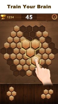 Cкриншот Wood Block Hexagon, изображение № 1368752 - RAWG
