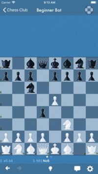 Cкриншот Chess Club - Open, изображение № 1835702 - RAWG
