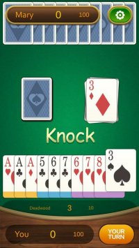 Cкриншот Gin Rummy Pro, изображение № 2898541 - RAWG