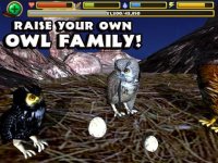 Cкриншот Owl Simulator, изображение № 955272 - RAWG