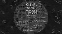 Cкриншот Ritual of the Moon, изображение № 1761187 - RAWG