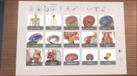Cкриншот 3D Organon VR Anatomy, изображение № 133205 - RAWG