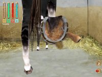 Cкриншот Saddle Up: Time to Ride; Let's Ride! Sunshine Stables, изображение № 2699634 - RAWG