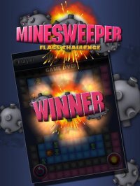 Cкриншот Minesweeper Flags, изображение № 1467440 - RAWG