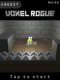 Cкриншот VoxelRogue, изображение № 2218625 - RAWG