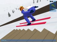 Cкриншот Deluxe Ski Jump 3, изображение № 525250 - RAWG