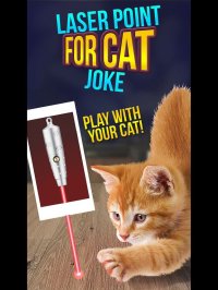 Cкриншот Laser Point For Cat Joke, изображение № 902784 - RAWG