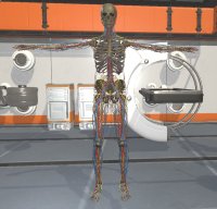 Cкриншот Surgical Study and 3D Skeletons for Medical School Students, изображение № 2204058 - RAWG