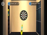 Cкриншот Easy Darts 3D Pro, изображение № 1919803 - RAWG