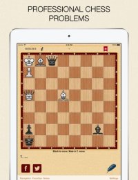 Cкриншот Mate in 2? OK! v.2, изображение № 1742446 - RAWG