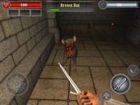 Cкриншот Old Gold 3D - action rpg dungeon quest game, изображение № 53072 - RAWG