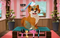 Cкриншот Become a Puppies Groomer, изображение № 1502604 - RAWG