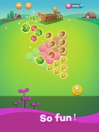 Cкриншот Hexa Farm :Simple Block Puzzle, изображение № 1762736 - RAWG