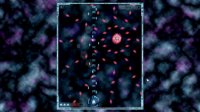 Cкриншот Stick to the end, изображение № 1698175 - RAWG