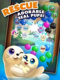 Cкриншот Polar Pop Mania, изображение № 1970452 - RAWG