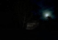 Cкриншот Slender: Strange Forest, изображение № 625100 - RAWG