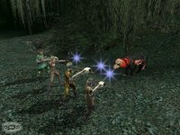 Cкриншот Dungeon Siege: Легенды Аранны, изображение № 369988 - RAWG