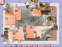 Cкриншот 1001 Jigsaw. Cute Cats 4, изображение № 3524668 - RAWG