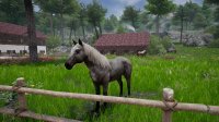 Cкриншот Horse Riding Deluxe 2, изображение № 2333987 - RAWG