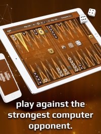 Cкриншот Backgammon Gold, изображение № 1601619 - RAWG