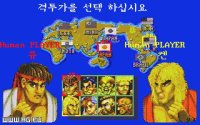 Cкриншот Street Fighter II: The World Warrior (1991), изображение № 309069 - RAWG