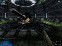 Cкриншот Aliens Versus Predator 2, изображение № 295192 - RAWG