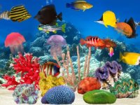 Cкриншот Fish Farm Unlimited, изображение № 927443 - RAWG