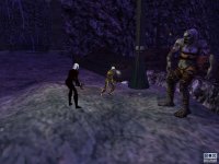 Cкриншот EverQuest: The Legacy of Ykesha, изображение № 382788 - RAWG