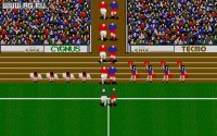 Cкриншот European Championship 1992, изображение № 343435 - RAWG