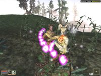 Cкриншот The Elder Scrolls III: Morrowind, изображение № 289953 - RAWG