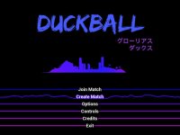 Cкриншот Duckball: Glorious Ducks, изображение № 2387539 - RAWG