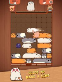 Cкриншот Haru Cats: Slide Block Puzzle, изображение № 2125282 - RAWG