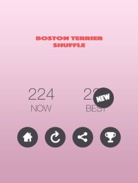Cкриншот Boston Terrier Shuffle, изображение № 1743668 - RAWG