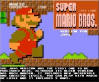 Cкриншот Super Mario Bros Lost-Land, изображение № 2105391 - RAWG
