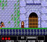 Cкриншот Castle of Illusion Starring Mickey Mouse (1990), изображение № 758688 - RAWG