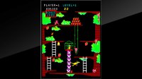 Cкриншот Arcade Archives Kangaroo, изображение № 2450725 - RAWG